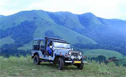 Mount View Resort - Munnar