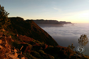  Mount View Resort - Munnar