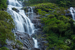  Mount View Resort - Munnar