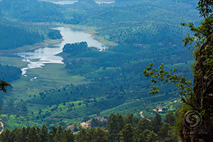  Mount View Resort - Munnar