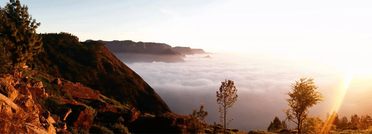 mount view munnar