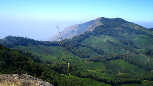  Mount View Resort - Munnar